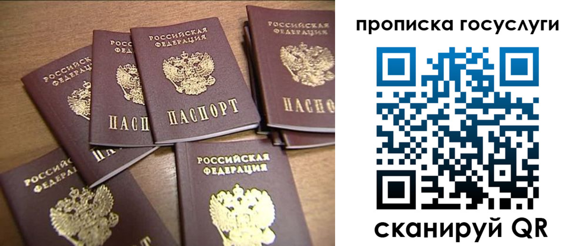 прописка ребенка в Богородске